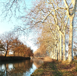 canal-du-midi.png