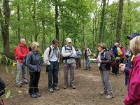 Forêt de Bouconne