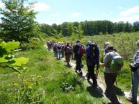 Forêt de Bouconne