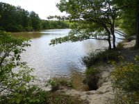 Forêt de Bouconne