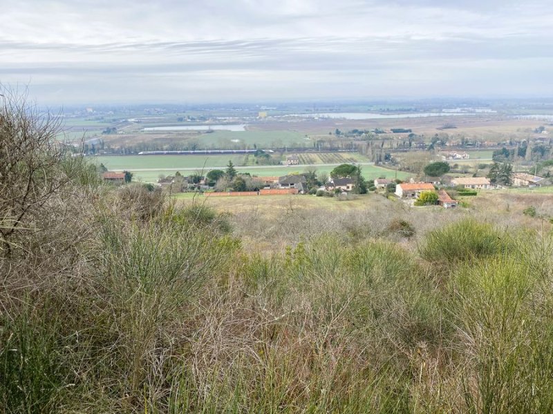 Castelnau-d_Estretefonds
