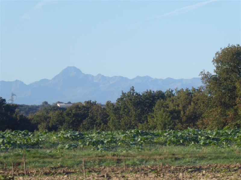 Puydaniel