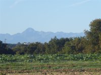Puydaniel