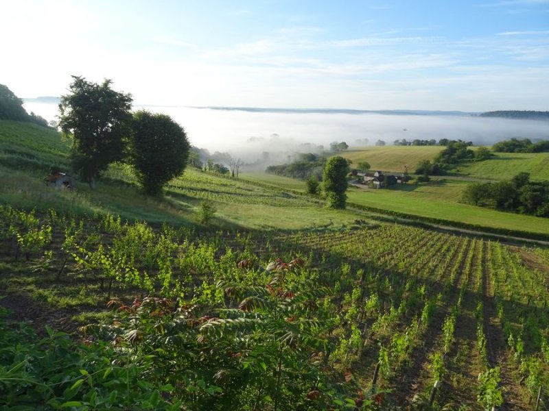Vézelay
